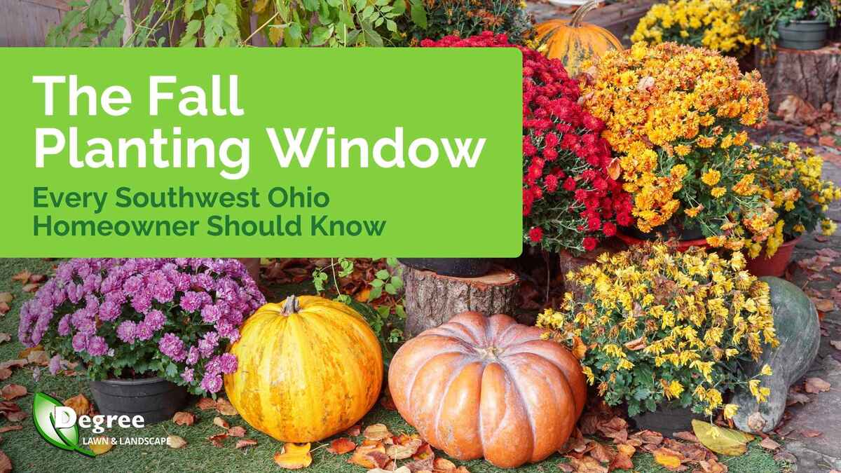 The Fall Planting Window Every Southwest Ohio Homeowner Should Know